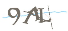 Identifying code