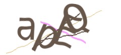 Identifying code