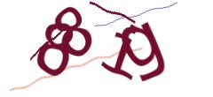 Identifying code