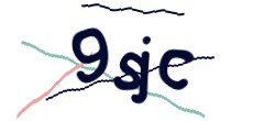 Identifying code