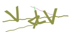 Identifying code