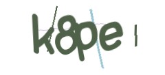 Identifying code