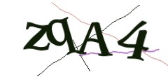 Identifying code