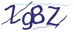 Identifying code