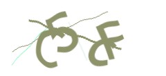 Identifying code