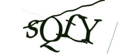 Identifying code
