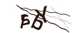 Identifying code