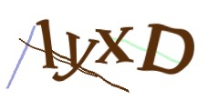 Identifying code