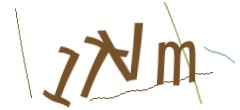 Identifying code