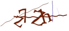 Identifying code