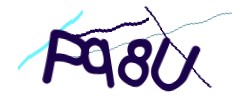 Identifying code