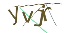 Identifying code