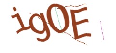 Identifying code