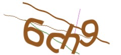 Identifying code