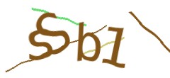 Identifying code