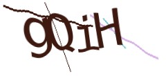 Identifying code