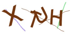 Identifying code