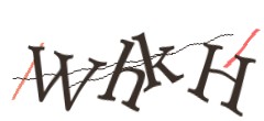 Identifying code