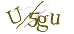 Identifying code