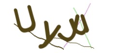 Identifying code