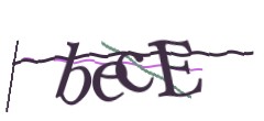 Identifying code