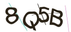 Identifying code