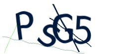 Identifying code