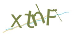 Identifying code