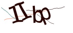 Identifying code