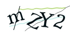 Identifying code