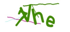 Identifying code