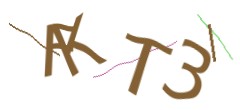 Identifying code