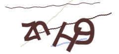 Identifying code