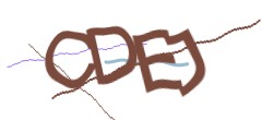 Identifying code