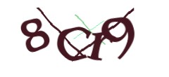Identifying code