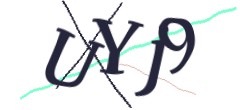Identifying code