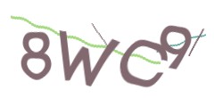 Identifying code