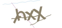 Identifying code