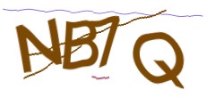 Identifying code