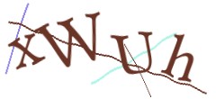 Identifying code
