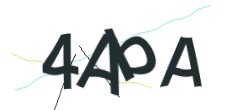 Identifying code