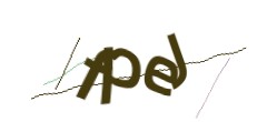 Identifying code