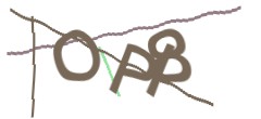 Identifying code