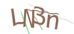 Identifying code