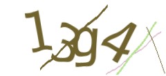 Identifying code