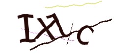 Identifying code