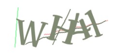 Identifying code
