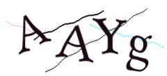 Identifying code