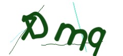 Identifying code
