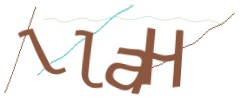 Identifying code